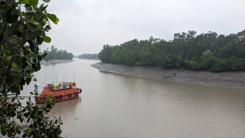 তিন মাস পর আবার সবার জন্য উন্মুক্ত হচ্ছে সুন্দরবন