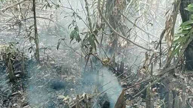 সুন্দরবনের কলমতেজী এলাকায় আগুন