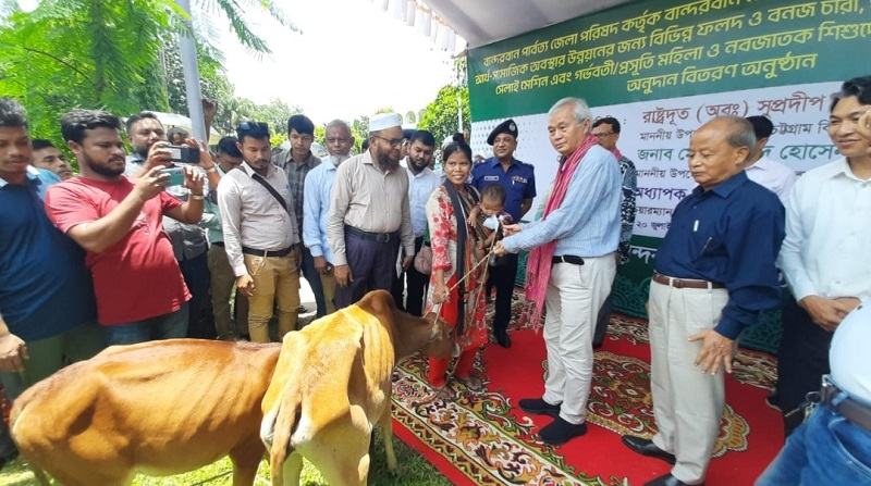 সরকারি উন্নয়ন কর্মকাণ্ড পার্বত্য অঞ্চলের অর্থনৈতিক সমৃদ্ধির ভিত্তি: পররাষ্ট্র উপদেষ্টা