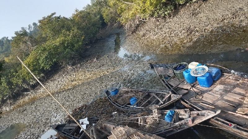 সুন্দরবনে কাকড়া ধরার অভিযোগে আটক ২