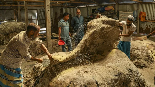 tannery31052026_002