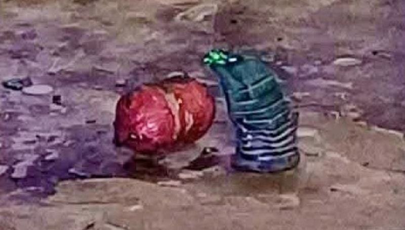 সাতক্ষীরায় ইউনিয়ন বিএনপি কার্যালয়ের সামনে বিস্ফোরণ, দুটি তাজা বোমা উদ্ধার