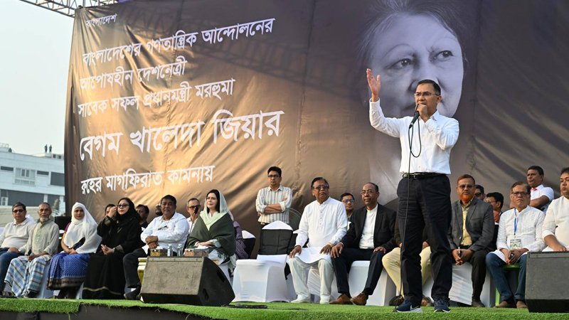 তারেক