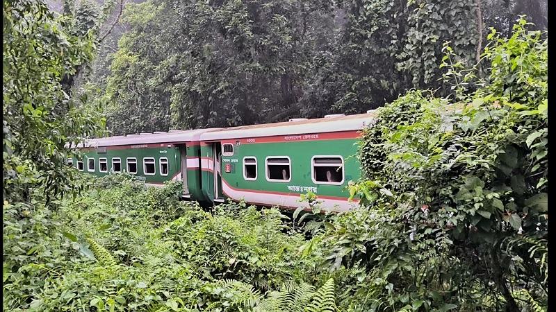 লাউয়াছড়া বনে ৯ বগি রেখে চলে গেল পাহাড়িকা এক্সপ্রেস
