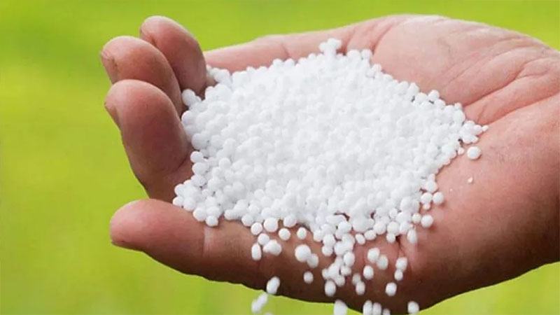 কানাডা-রাশিয়া থেকে দেড় লাখ টন সার আমদানি করবে সরকার