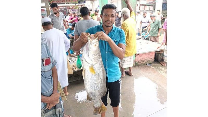 আন্ধারমানিক নদে ধরা পড়ল সাড়ে ১০ কেজি ওজনের কোরাল