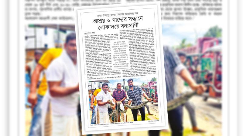প্রকৃতি সংবেদনশীল উন্নয়নই বন্যপ্রাণী ও মানুষের সংঘর্ষ কমাতে পারে