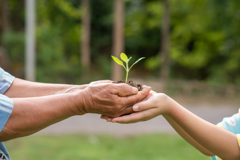 what-is-legacy-giving-and-why-its-key-for-future-generations1