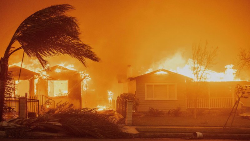 wildfire_ap