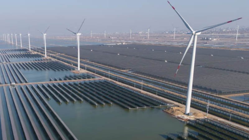 wind_solar_firm_china_reuters