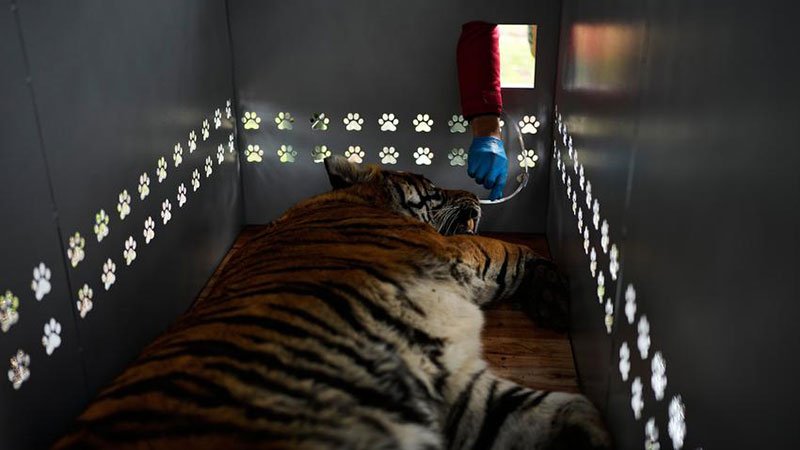 zoo-2