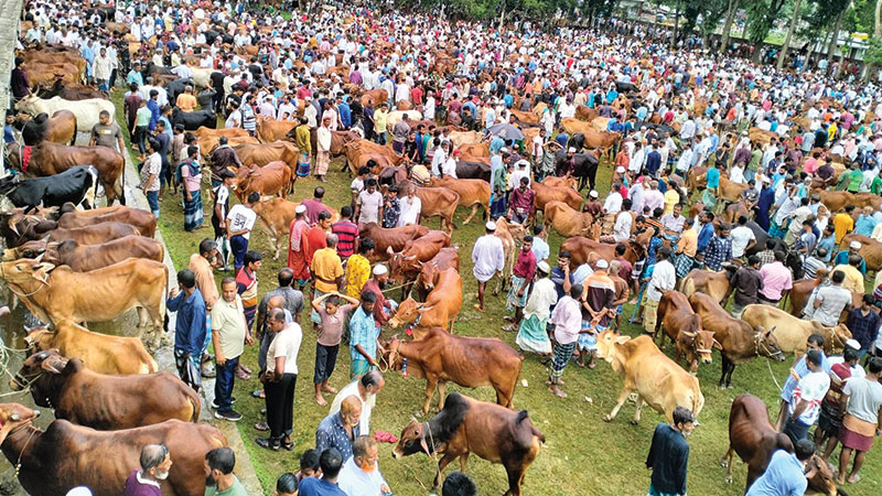 কুরবানী তহবিল