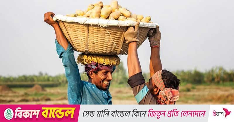 Monchegorsk jinsiy aloqa